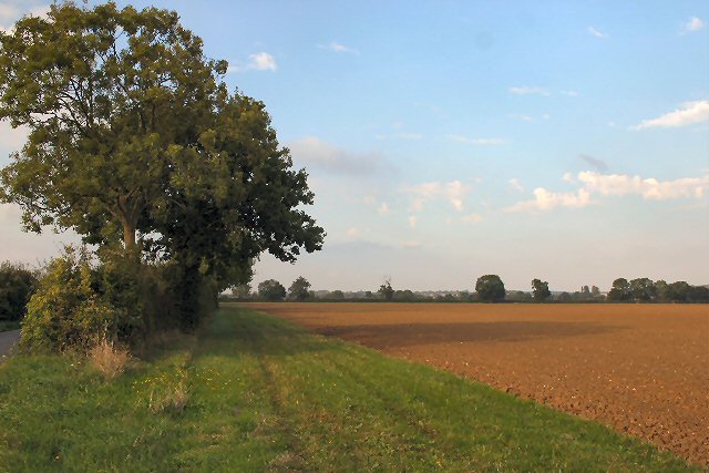 Woolpit Road Black Dog – Mysterious Britain & Ireland